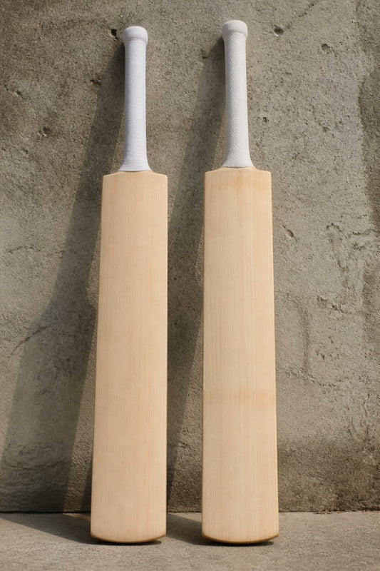 Badger vs Boundary Cricket Bats: 2026 Comparison