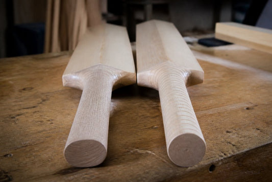 Choosing Cricket Bat Handle Shape: Round vs Oval